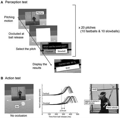 Virtual reality perceptual training can improve the temporal discrimination ability of swinging during softball batting